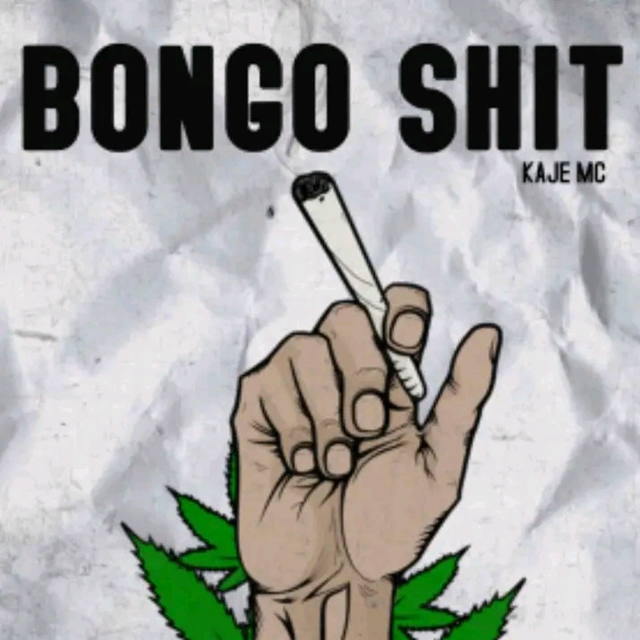 NEW AUDIO | KAJE DOUBLE KILLER – BONGO SHIT