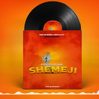 AUDIO | Seneta Kilaka – Namsusia Shemeji