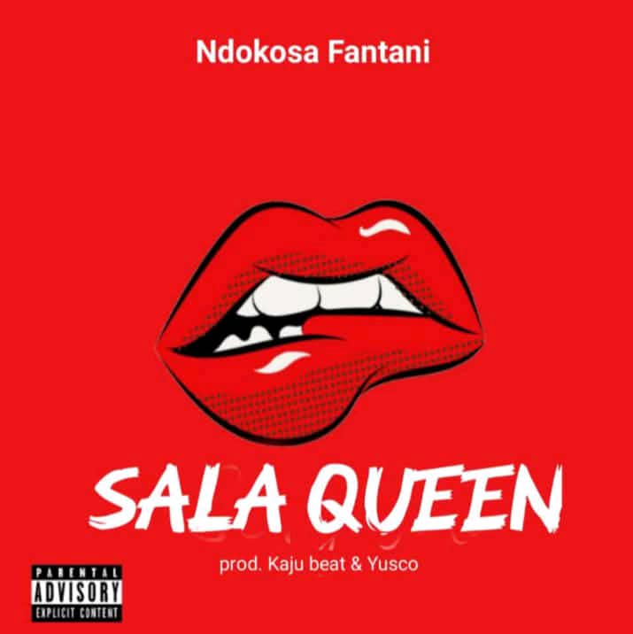 AUDIO : Ndokosa – Sala Kwini | Download