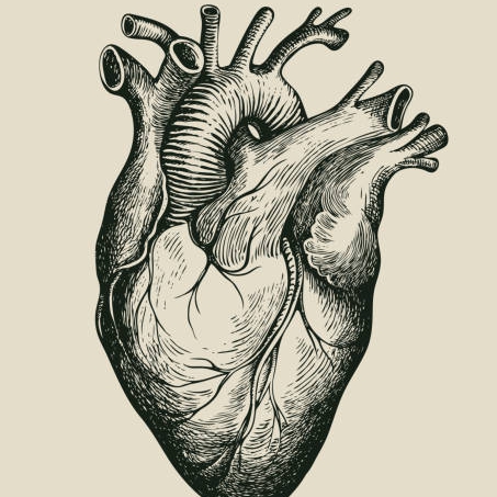 AUDIO : Wanjano Mc – My Heart | Download